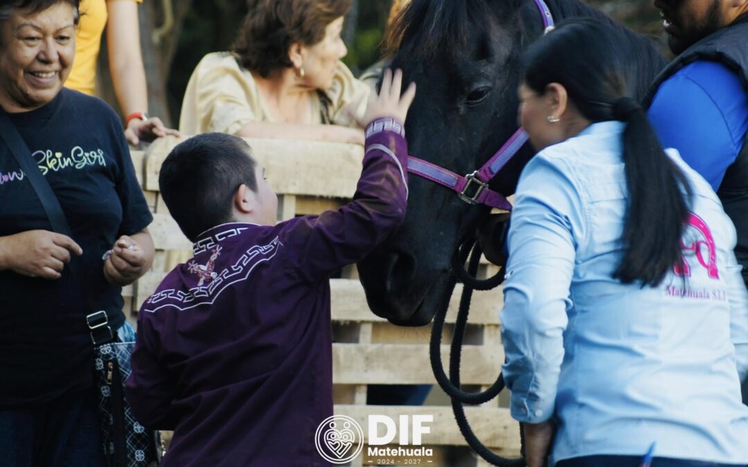 Exhibición de Equinoterapia  de la Campaña “La Inclusión Rompe Barreras”